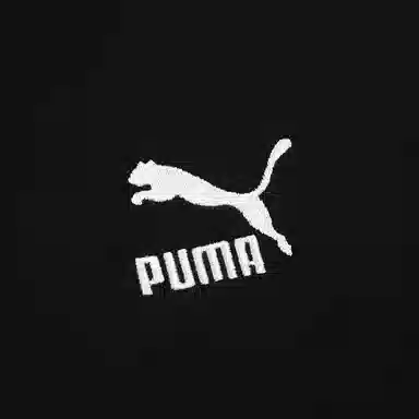 PUMA Classics Relaxed Hoodie Tr