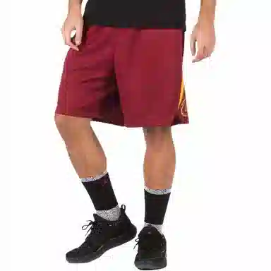 Nike Cleveland Cavaliers Icon Edition Swingman Shorts
