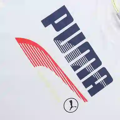 Puma T