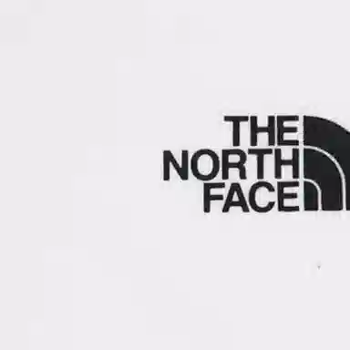 THE NORTH FACE logo T