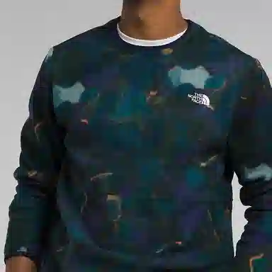 THE NORTH FACE Alpine Polartec 100 Crew