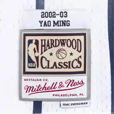 Mitchell Ness NBA SW 02-03 11