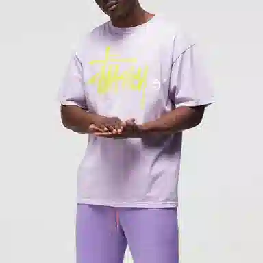 Stussy Basic Logo Pigment Dyed Tee LogoT