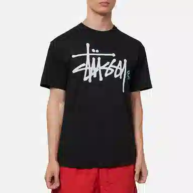 Stussy Basic Logo Pigment Dyed Tee LogoT