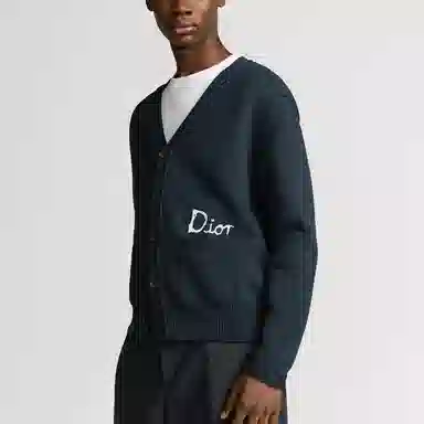DIOR SS25 V