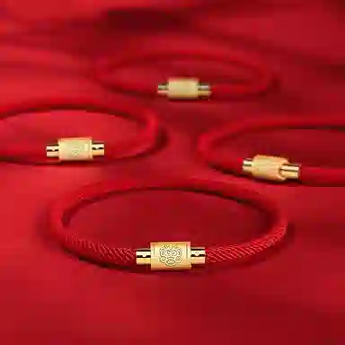 灰鱼 十二生肖手绳新中式国潮风简约单蛇年本命年太岁年转运珠手工编织编制金色红色黑色叠戴小众高级感好运 合金 手链 男女同款情侣款