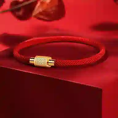 灰鱼 十二生肖手绳新中式国潮风简约单蛇年本命年太岁年转运珠手工编织编制金色红色黑色叠戴小众高级感好运 合金 手链 男女同款情侣款