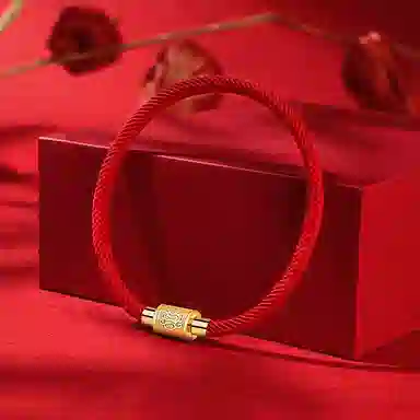 灰鱼 十二生肖手绳新中式国潮风简约单蛇年本命年太岁年转运珠手工编织编制金色红色黑色叠戴小众高级感好运 合金 手链 男女同款情侣款