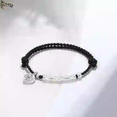 COPI ins S925