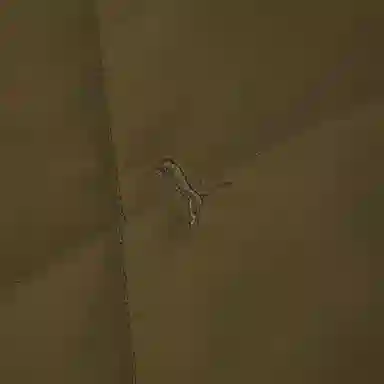 PUMA MMQ Brown Jacket