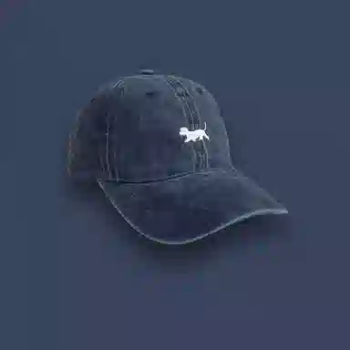 US8ACC