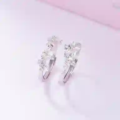 DVNRR s925