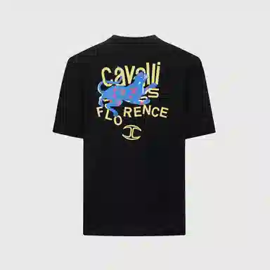 Cavalli Class T