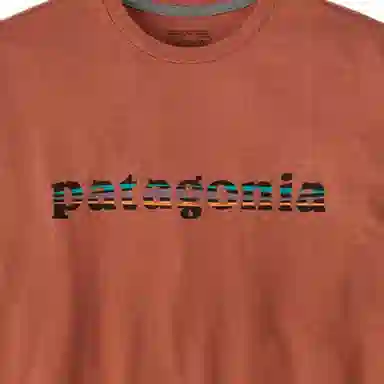 patagonia Long-Sleeved '73 Text Logo Responsibili T