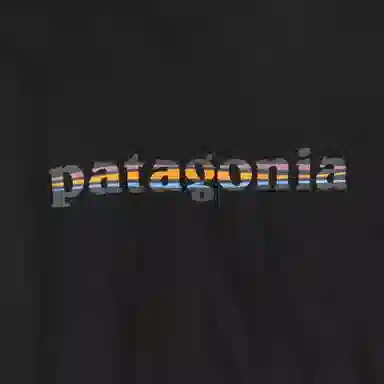 patagonia Long-Sleeved '73 Text Logo Responsibili T