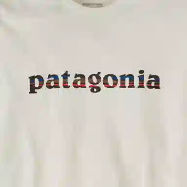 patagonia Long-Sleeved '73 Text Logo Responsibili T