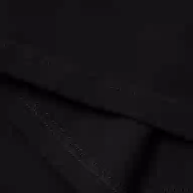 Alexander McQueen FW22 T