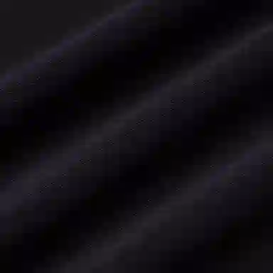 Alexander McQueen FW22 T