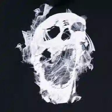 Revenge Lightning Skull Hoodie Black