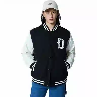 Dickies DK0A87E3