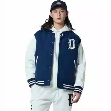Dickies DK0A87E3