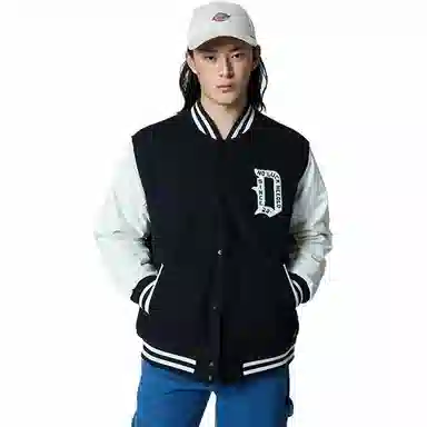 Dickies DK0A87E3