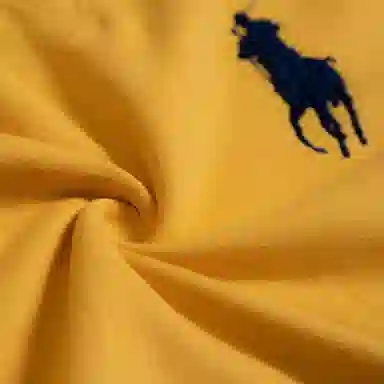 Polo Ralph Lauren FW23 Logo