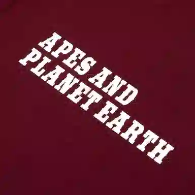 Aape SS25 T BDX