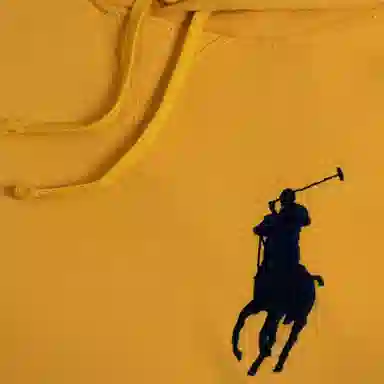 Polo Ralph Lauren FW23 Logo