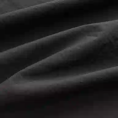 Anta