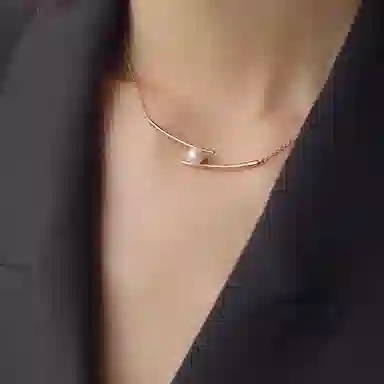 骊碧 巴黎轻奢精致小众高级感冷淡风实用高档轻奢有意义 合金 项链 女款