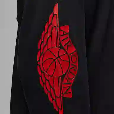 Jordan Rare Air T