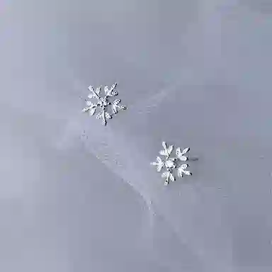 缔晶 森系甜美时尚耳饰 清新优雅日常 合金 耳钉 女款