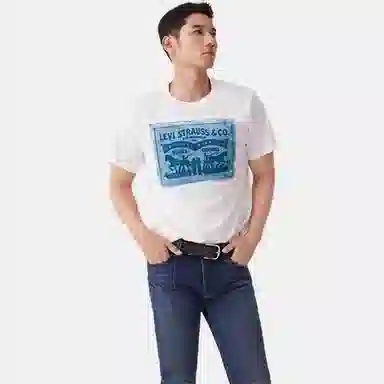 levis T