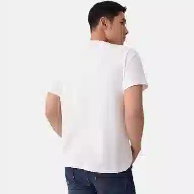 levis T