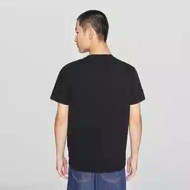Lee T