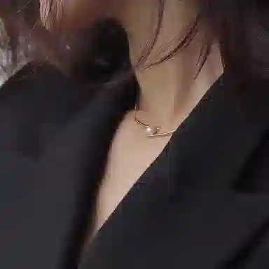 骊碧 巴黎轻奢精致小众高级感冷淡风实用高档轻奢有意义 合金 项链 女款