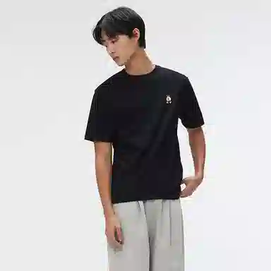SPAO T 2
