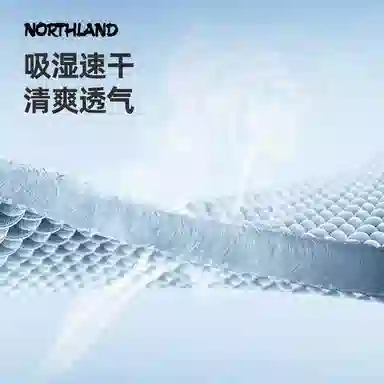 NORTHLAND PROFESSIONAL