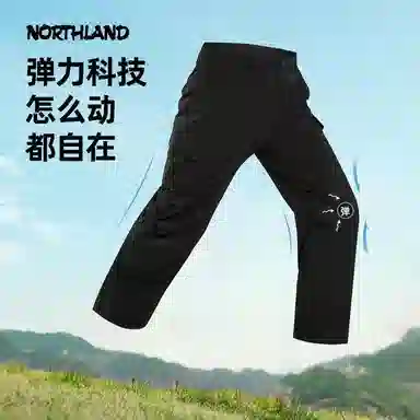 NORTHLAND PROFESSIONAL