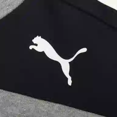 Puma Modern Logo