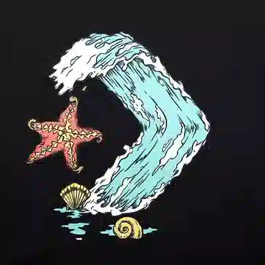 Converse T