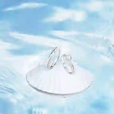 BLANK IN BLANK 999 ins