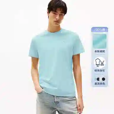 Tommy Hilfiger T