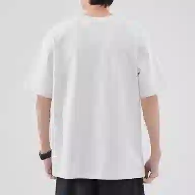 Hansca T