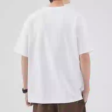 Hansca T