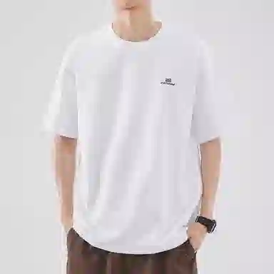 Hansca T