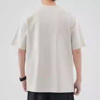 Hansca T