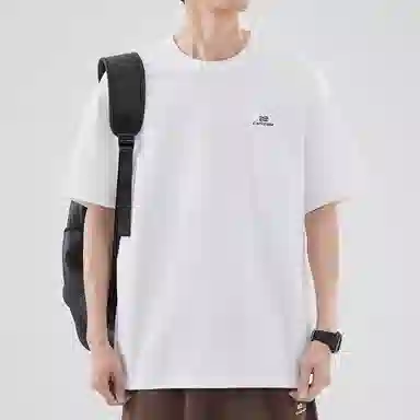Hansca T