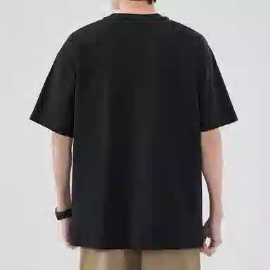 Hansca T